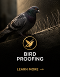 Bird Proofing