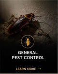 General Pest Control