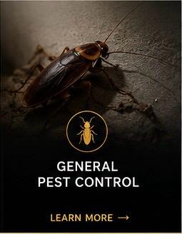 General Pest Control