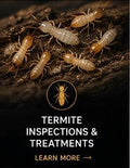 Termite Inspections & Treatments